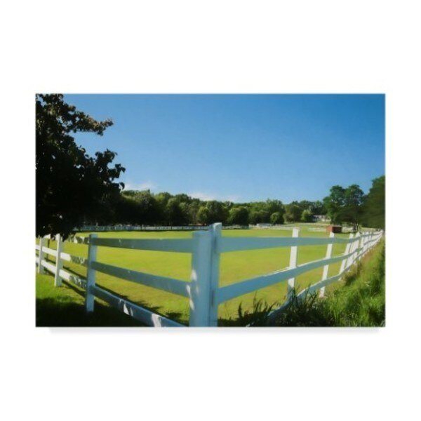 Anthony Paladino 'Horse Stable With Horses' Canvas Art, 22x32, Trademark Fine Art, Mfr#: ALI24703-C2232GG